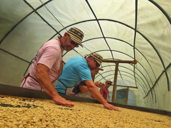 coffee tour in medellin coffee tour in medellin