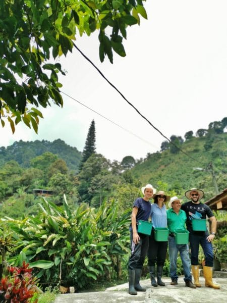 Arrival coffee farm, coffee tour