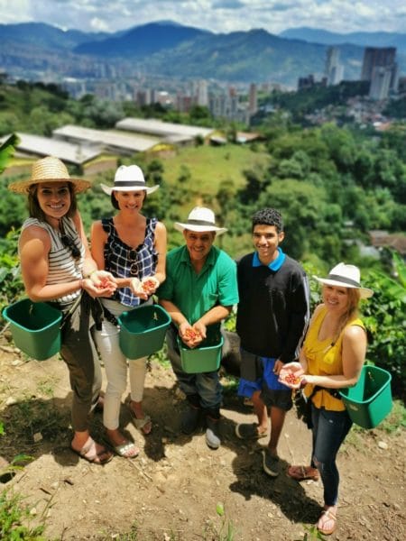 Coffee Tour in Medellin