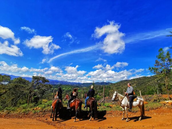 Horseback riding in Medellin