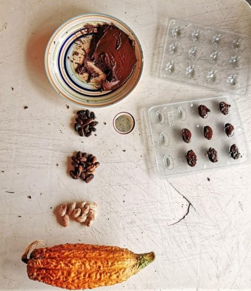 chocolate tour in medellin